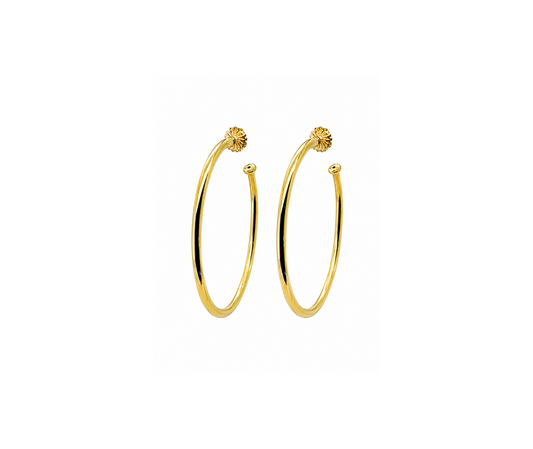 Gold Hoops Earrings AB