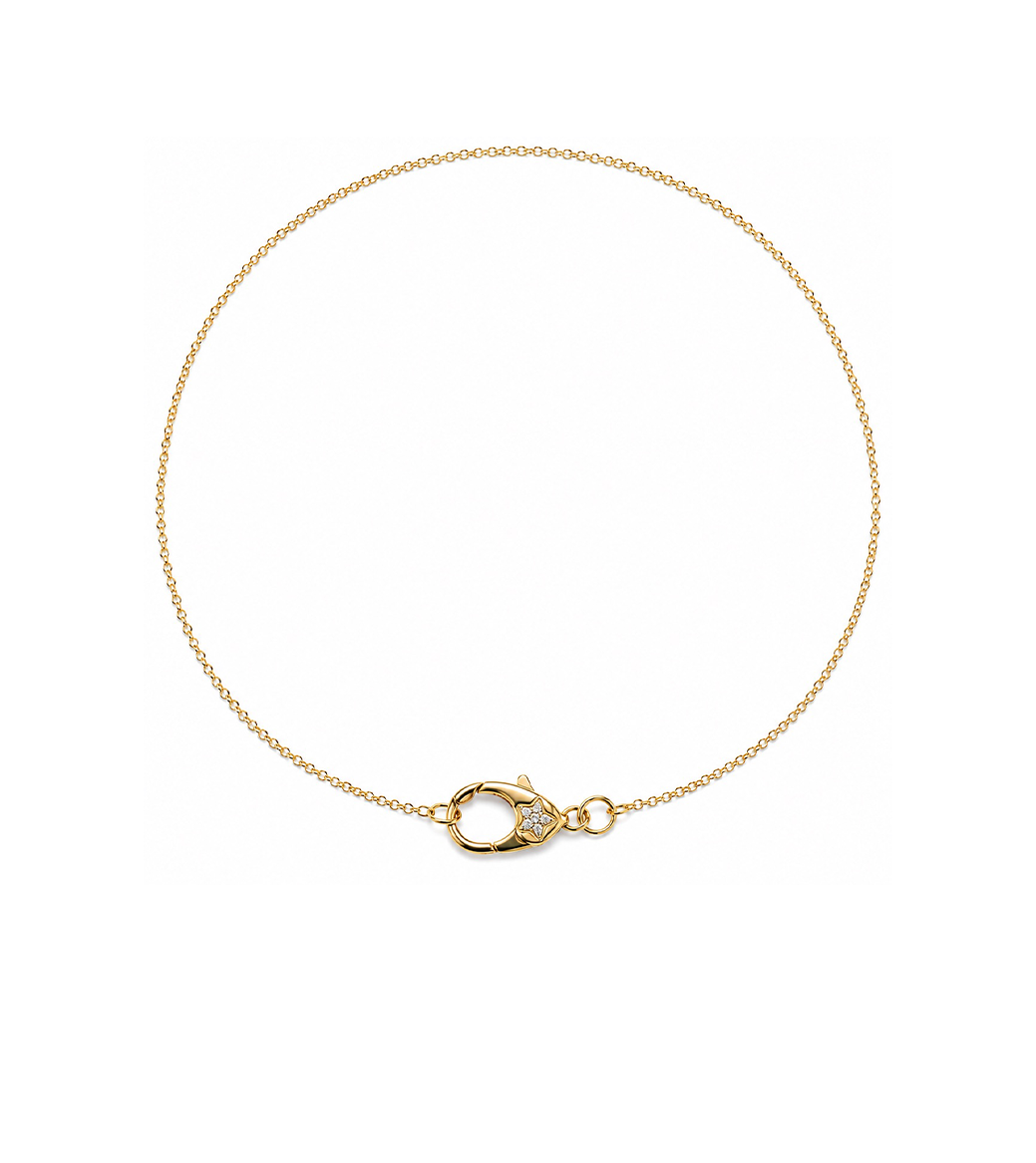 Gold & Diamond Star Clasp Necklace